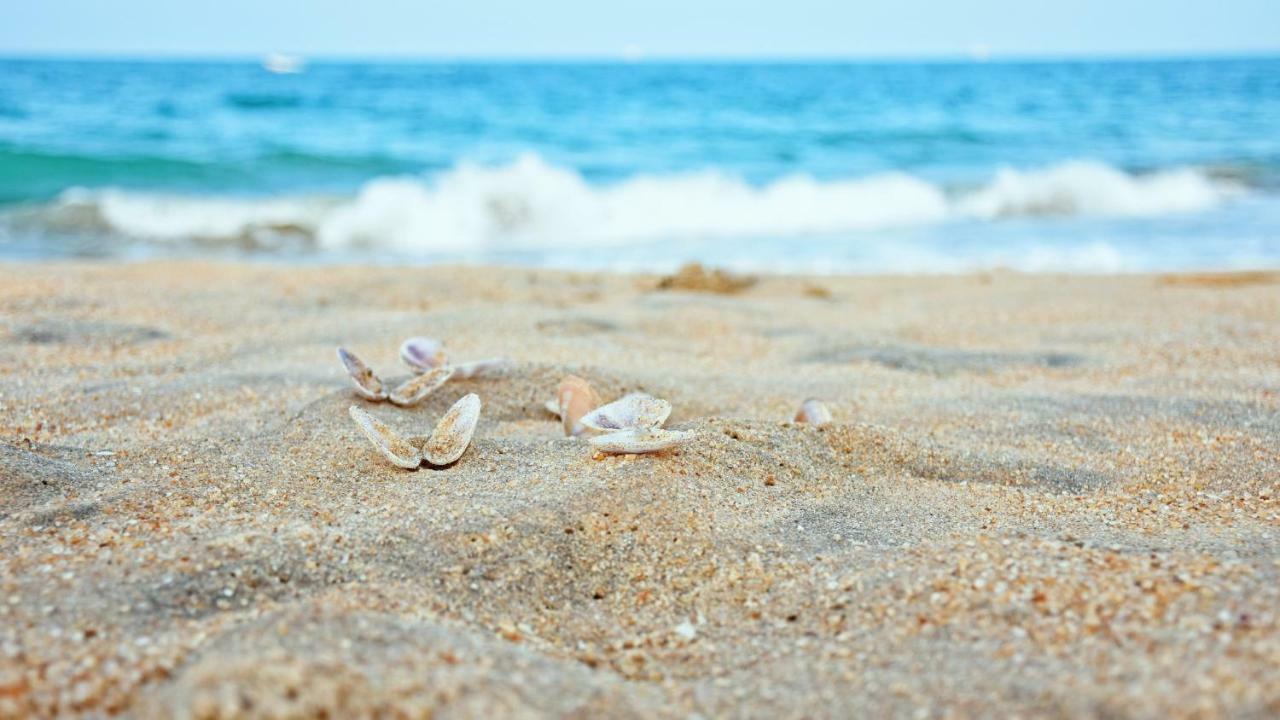 Melheim Beach Kalpitiya Zewnętrze zdjęcie